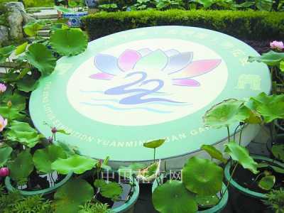 不锈钢包边装饰井盖大样图 4款花园景观艺术铸铁井盖设计方案图