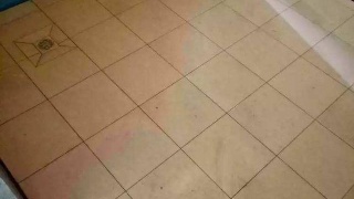 装修油漆工序时间_瓷砖上有油漆如何清理_装修的时候先油漆还是瓷砖