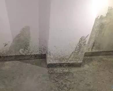 收房装修帮_收房时如何验房_房子收房装修后漏水