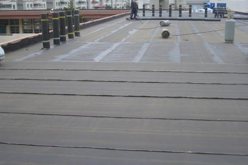 [防水工程]建筑工程防水构造解析（共55页）