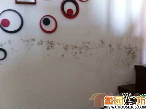 装修后渗水油漆面变色_汽车面油漆_广东易涂宝油漆没有装修乳胶漆