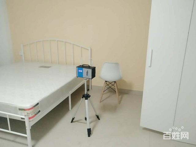 新装修的房子放什么植物去甲醛_新装修的房子怎么去甲醛小妙招_新装修甲醛治理完可以去入住吗