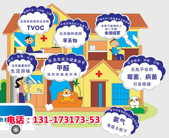 新装修的房子放什么植物去甲醛_新装修甲醛治理完可以去入住吗_新装修的房子怎么去甲醛小妙招