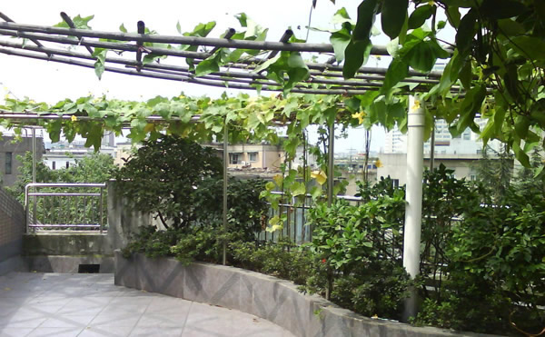 屋顶按照屋面的防水材料分几种_设计的屋顶花园装修防水_屋顶防水补漏工程